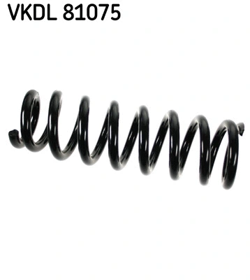 Suspension Spring (VKDL 81075)