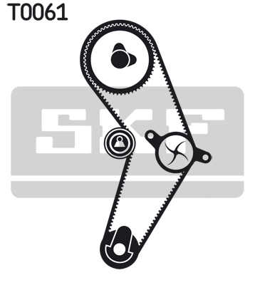 Timing Belt Kit (VKMA 06000)
