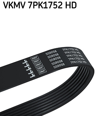 V-Ribbed Belt