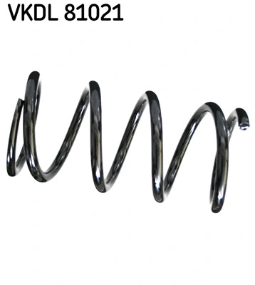 Suspension Spring (VKDL 81021)