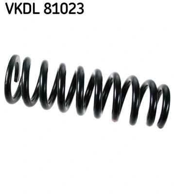 Suspension Spring (VKDL 81023)