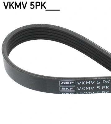 V-Ribbed Belt (VKMV 5PK1432)
