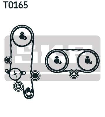 Timing Belt Kit (VKMA 01121)