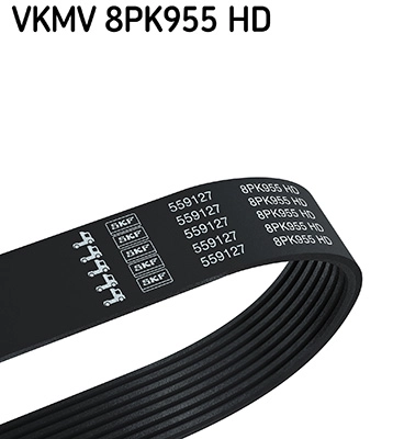V-Ribbed Belt (VKMV 8PK955 HD)