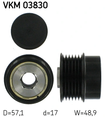 Alternator Freewheel Clutch (VKM 03830)
