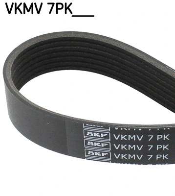 V-Ribbed Belt (VKMV 7PK810)
