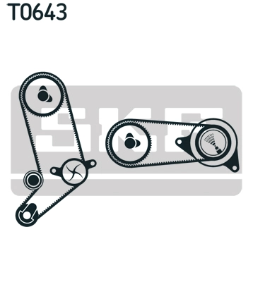 Timing Belt Kit (VKMA 01266)