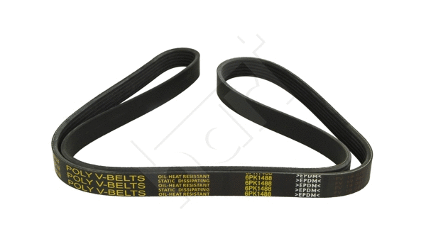 V-Ribbed Belt (917 787)