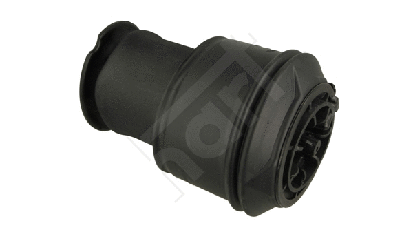 Air Spring, suspension (480 527)