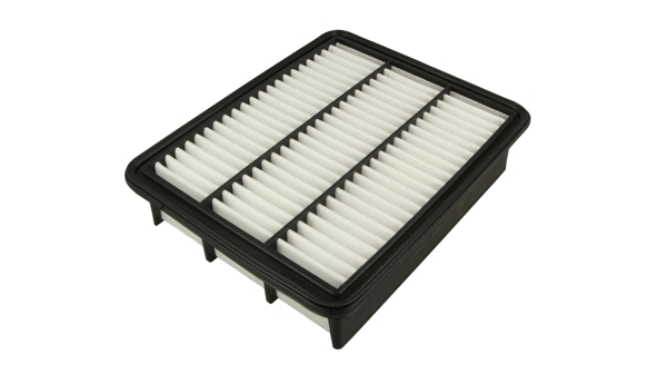 Air Filter (915 821)