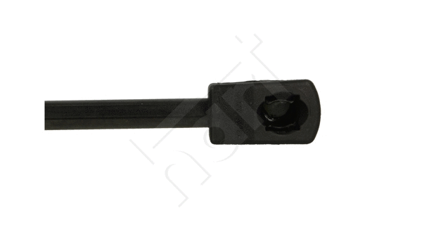 Gas Spring, bonnet