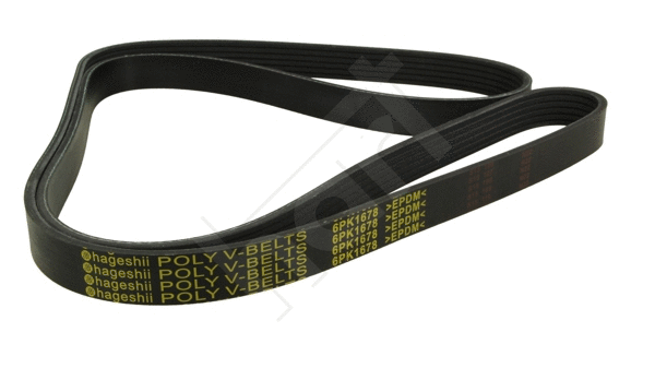 V-Ribbed Belt (368 957)