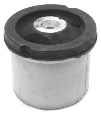 Bushing, axle beam (423 907)