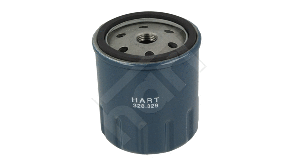 Fuel Filter (328 829)