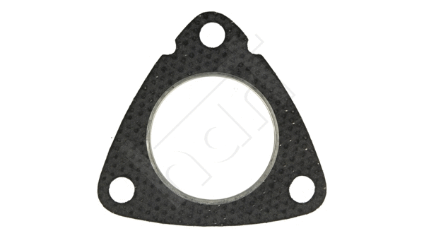 Gasket, exhaust pipe (702 081)