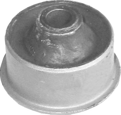 Mounting, control/trailing arm (420 810)