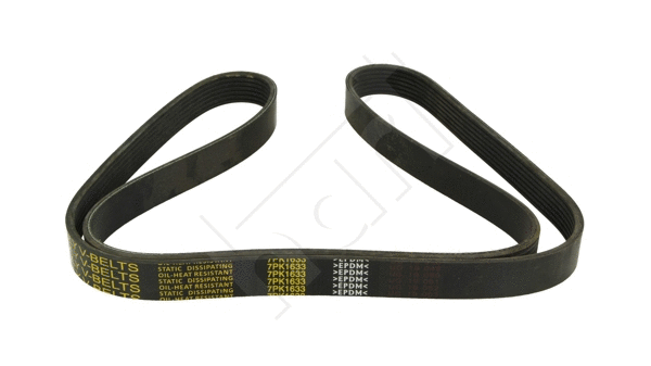 V-Ribbed Belt (917 752)