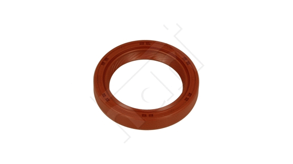 Shaft Seal, camshaft (720 255)