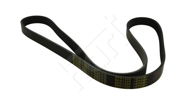 V-Ribbed Belt (368 939)