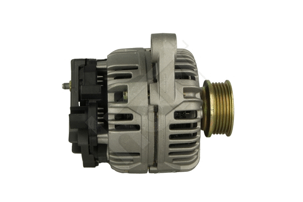 Alternator (534 393)
