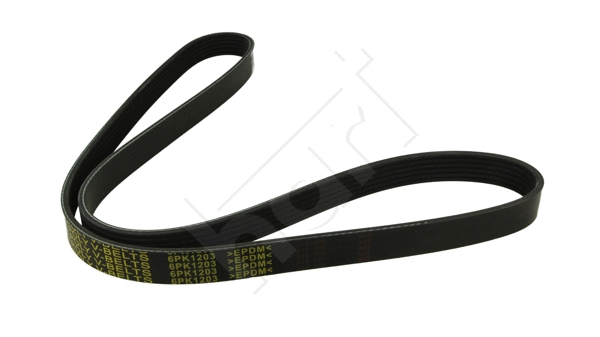 V-Ribbed Belt (368 920)