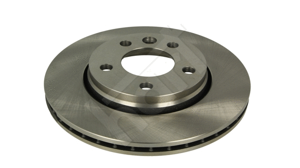 Brake Disc (224 211)