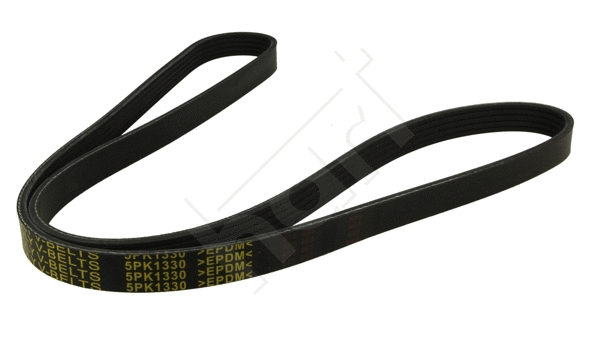 V-Ribbed Belt (368 874)