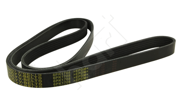 V-Ribbed Belt (368 804)