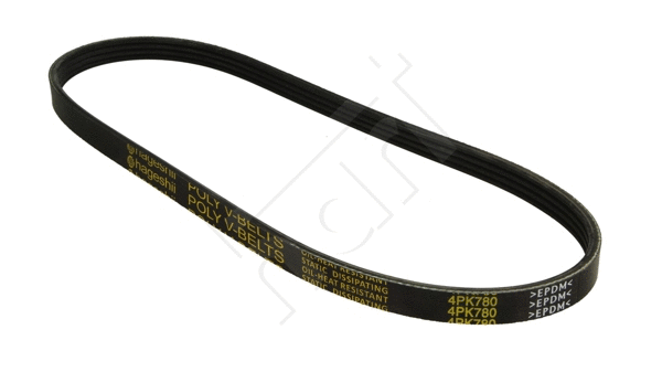 V-Ribbed Belt (334 259)
