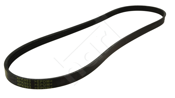 V-Ribbed Belt (368 861)