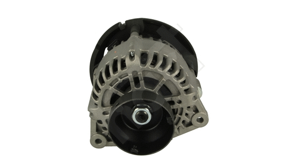 Alternator (530 763)