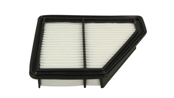 Air Filter (915 816)