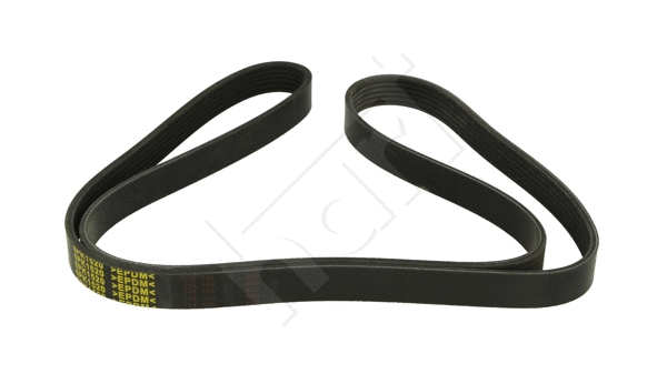 V-Ribbed Belt (368 944)