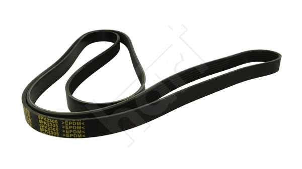 V-Ribbed Belt (368 991)