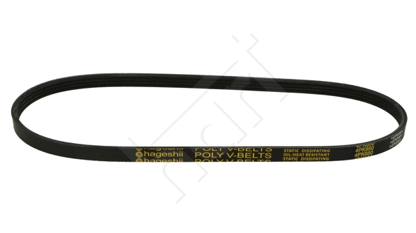 V-Ribbed Belt (334 034)