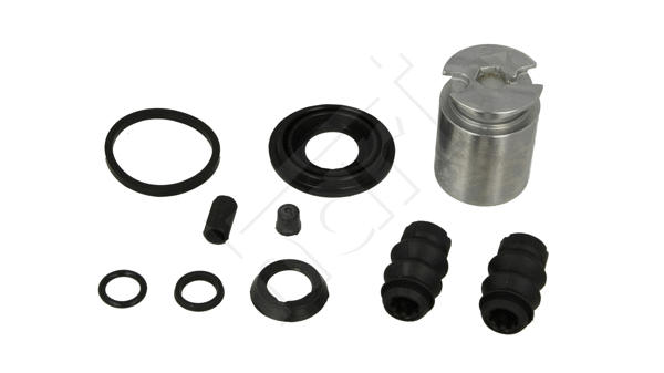 Repair Kit, brake caliper (252 605)