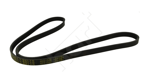 V-Ribbed Belt (368 847)