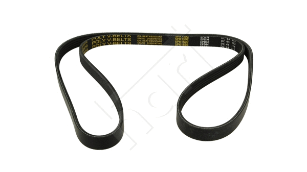V-Ribbed Belt (334 305)