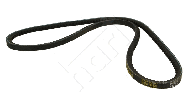 V-Belt (334 189)