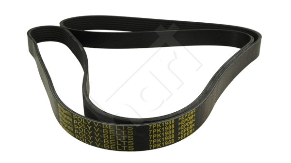 V-Ribbed Belt (369 015)