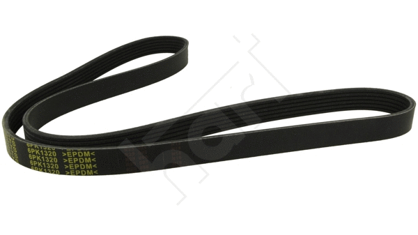 V-Ribbed Belt (368 930)