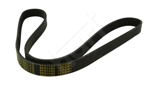 V-Ribbed Belt (368 919)