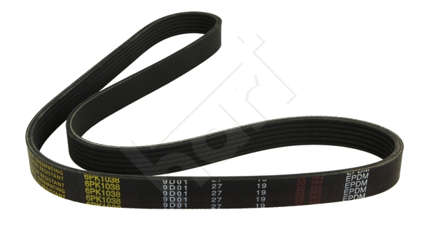 V-Ribbed Belt (338 058)