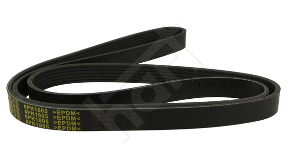 V-Ribbed Belt (368 953)