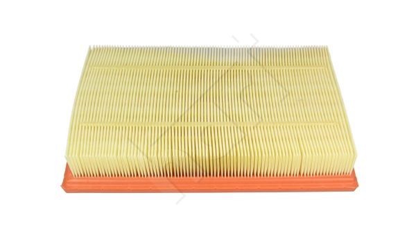 Air Filter (932 515)