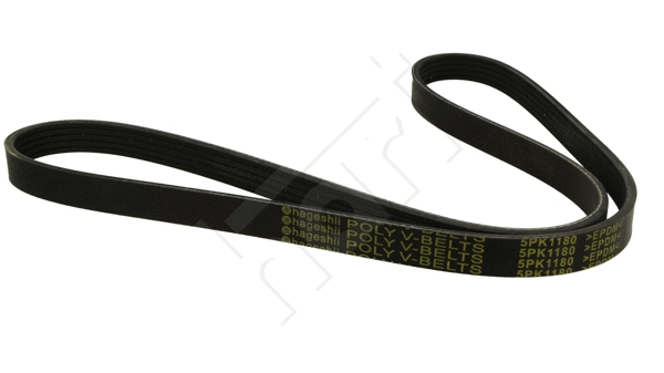 V-Ribbed Belt (368 868)