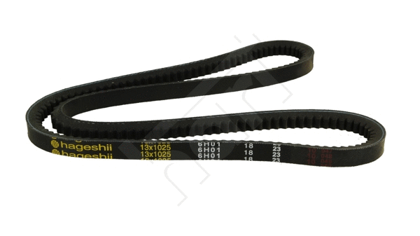 V-Belt (305 587)