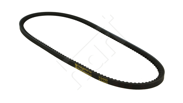 V-Belt (305 582)