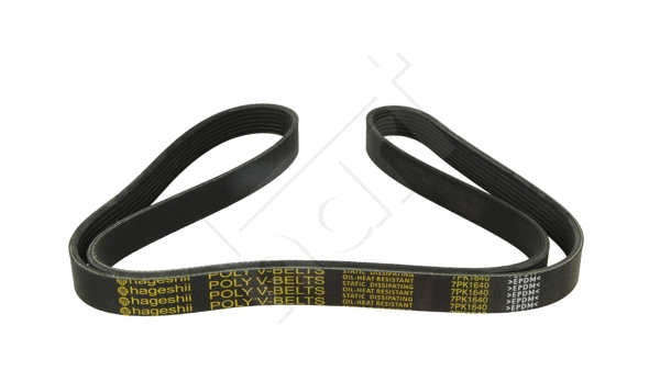 V-Ribbed Belt (917 781)