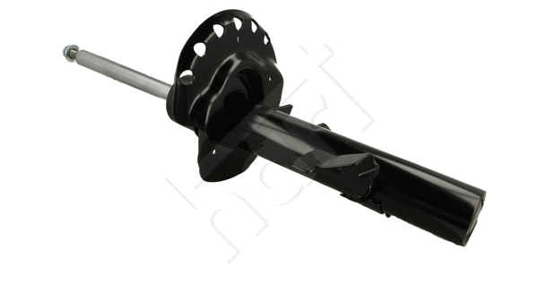 Shock Absorber (810 255)